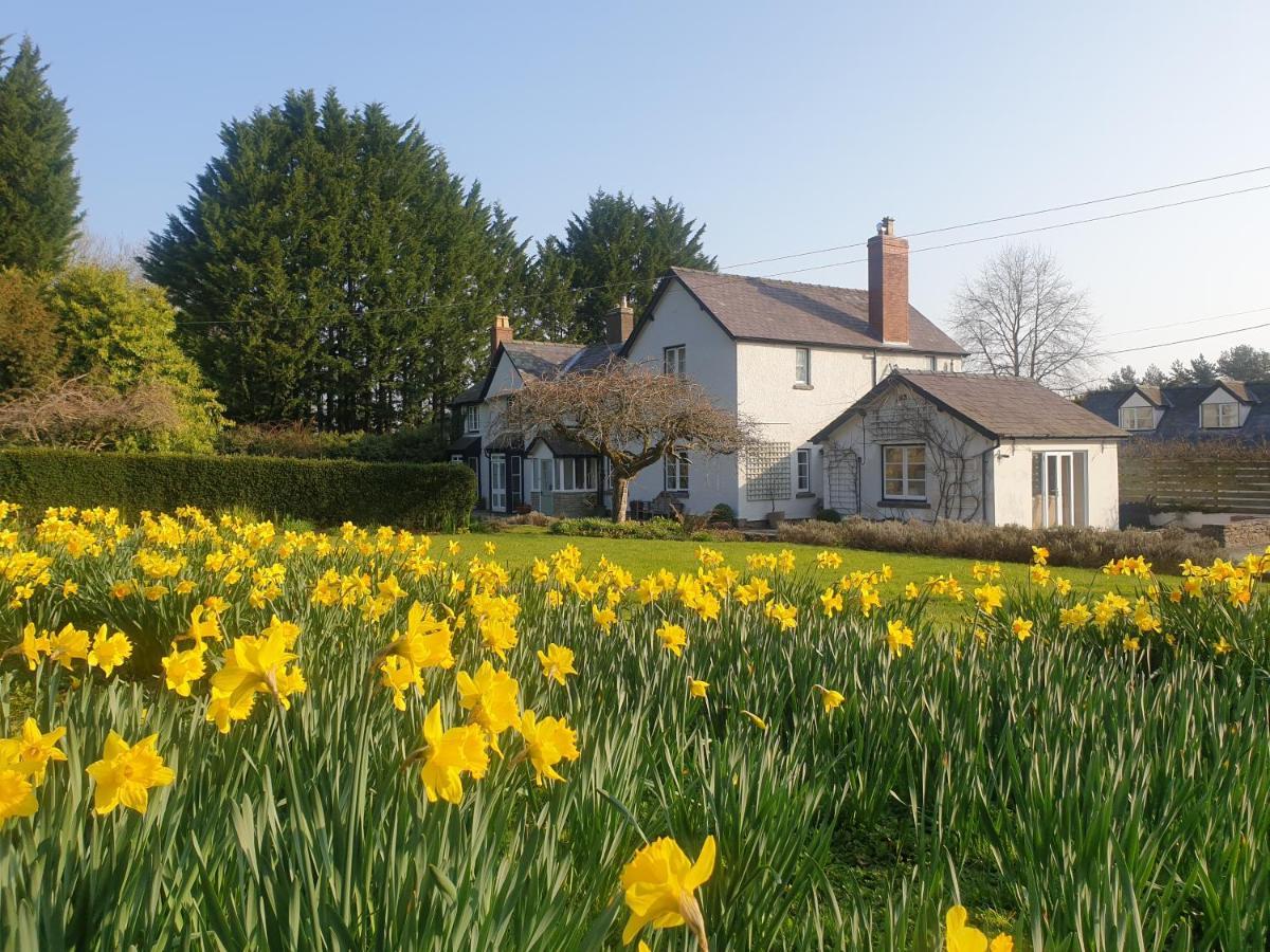 Lower House B&B Adforton Leintwardine Eksteriør bilde
